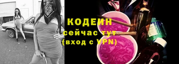 шишки Вязники