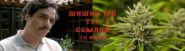 мяу мяу мука Грязовец