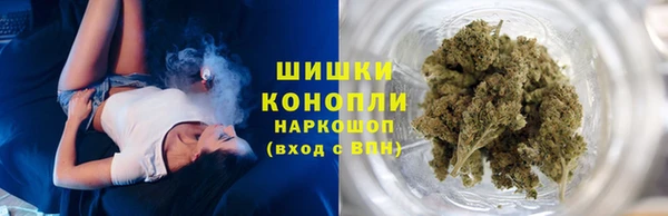 шишки Вязники