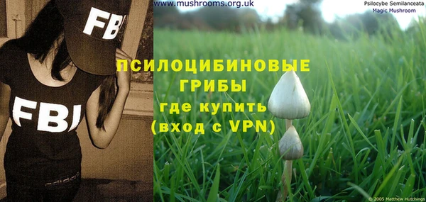 шишки Вязники