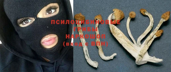 шишки Вязники